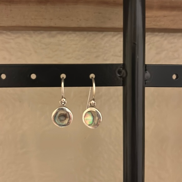Abalone embedded circle earrings - Picture 1 of 6